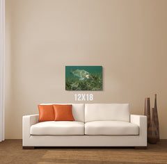 Misty Waters Canvas