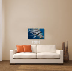 Fish Lure Canvas