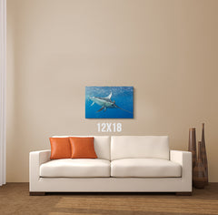 Swordfish Canvas