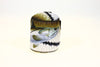 Image of SportFish Snook Baitcaster Series Cover