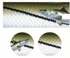 Image of SportFish Snook Baitcaster Series Cover