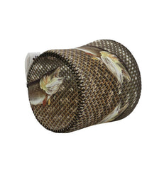 SportFish Pike Baitcaster Series Cover