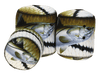 Image of SportFish Snook Baitcaster Series Cover