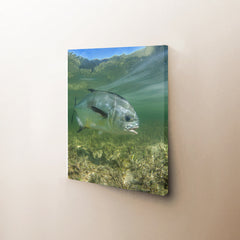 Simply Swimming Canvas