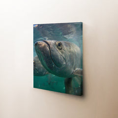 Facetime Canvas