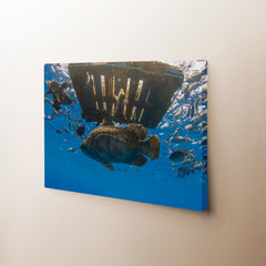 Fish Pallet Canvas