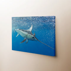 Swordfish Canvas