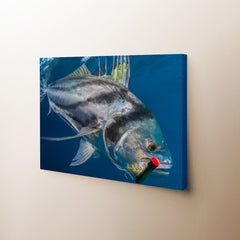 Fish Lure Canvas