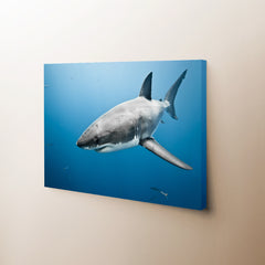 The Deep Blue Sea