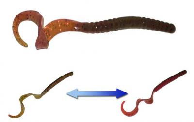 Smartbaits Softbaits Robbie Ribbon Worm 10