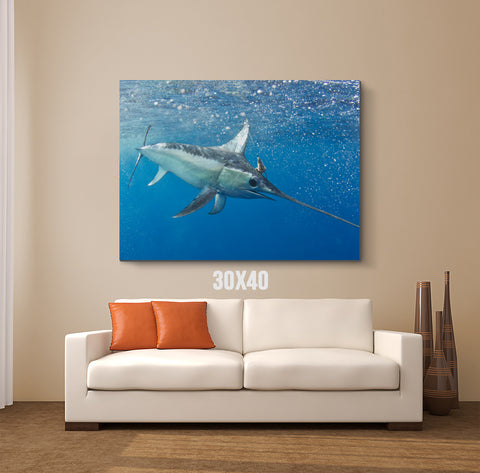 Swordfish Canvas