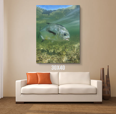 Simply Swimming Canvas