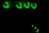 Image of Fishin' Stix Rod Holder Glow in Dark - GS2